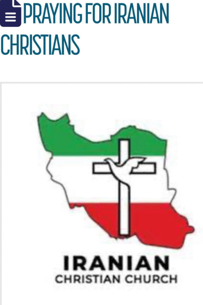 untitled design (20)